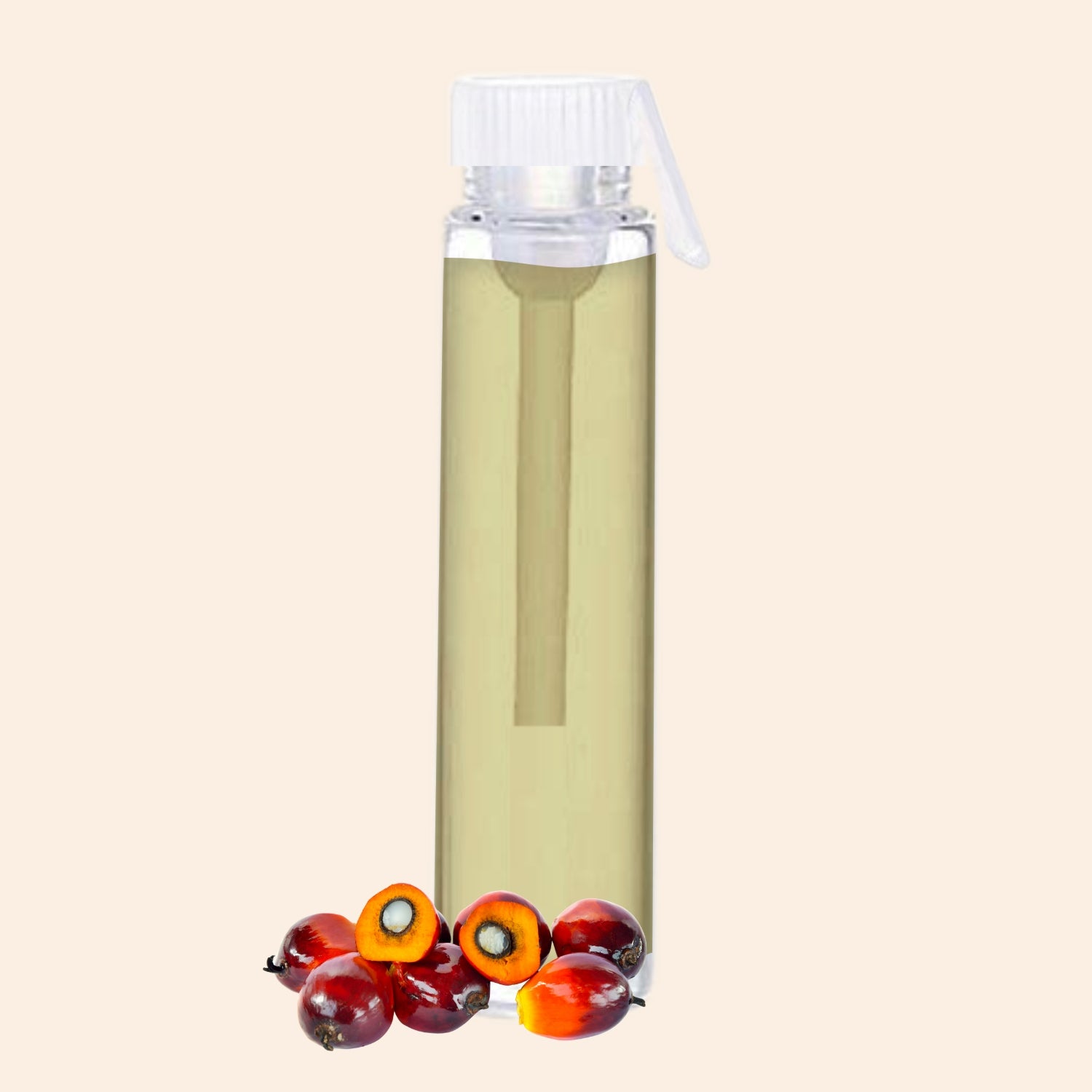 shoprythmindia Free Samples Palm Kernel Oil shoprythmindia Free Samples Palm Kernel Oil